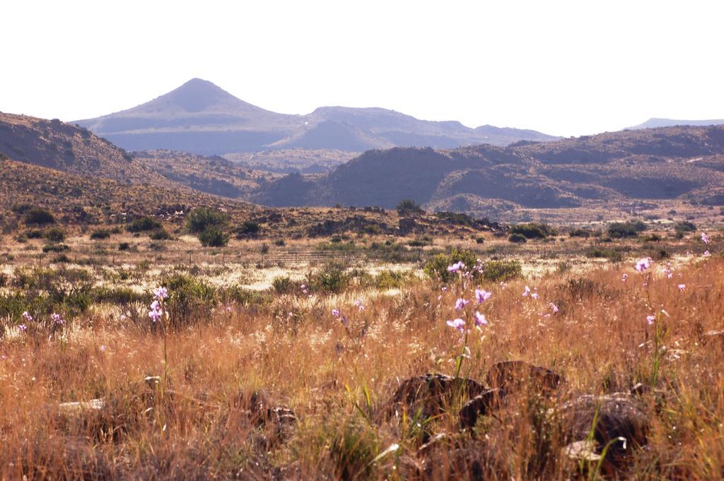 The Vale Karoo Farm Villa Nelspoort Buitenkant foto
